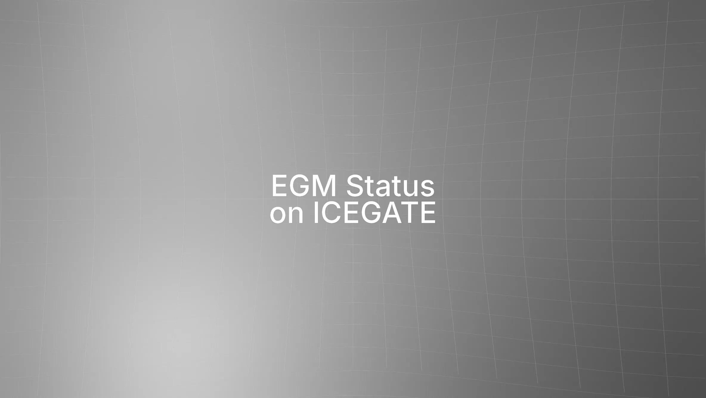 EGM ICEGATE Filing: Status Check, Errors & Practical Fixes
